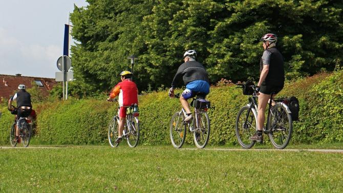 Senioren fahren Fahrrad im Grünen