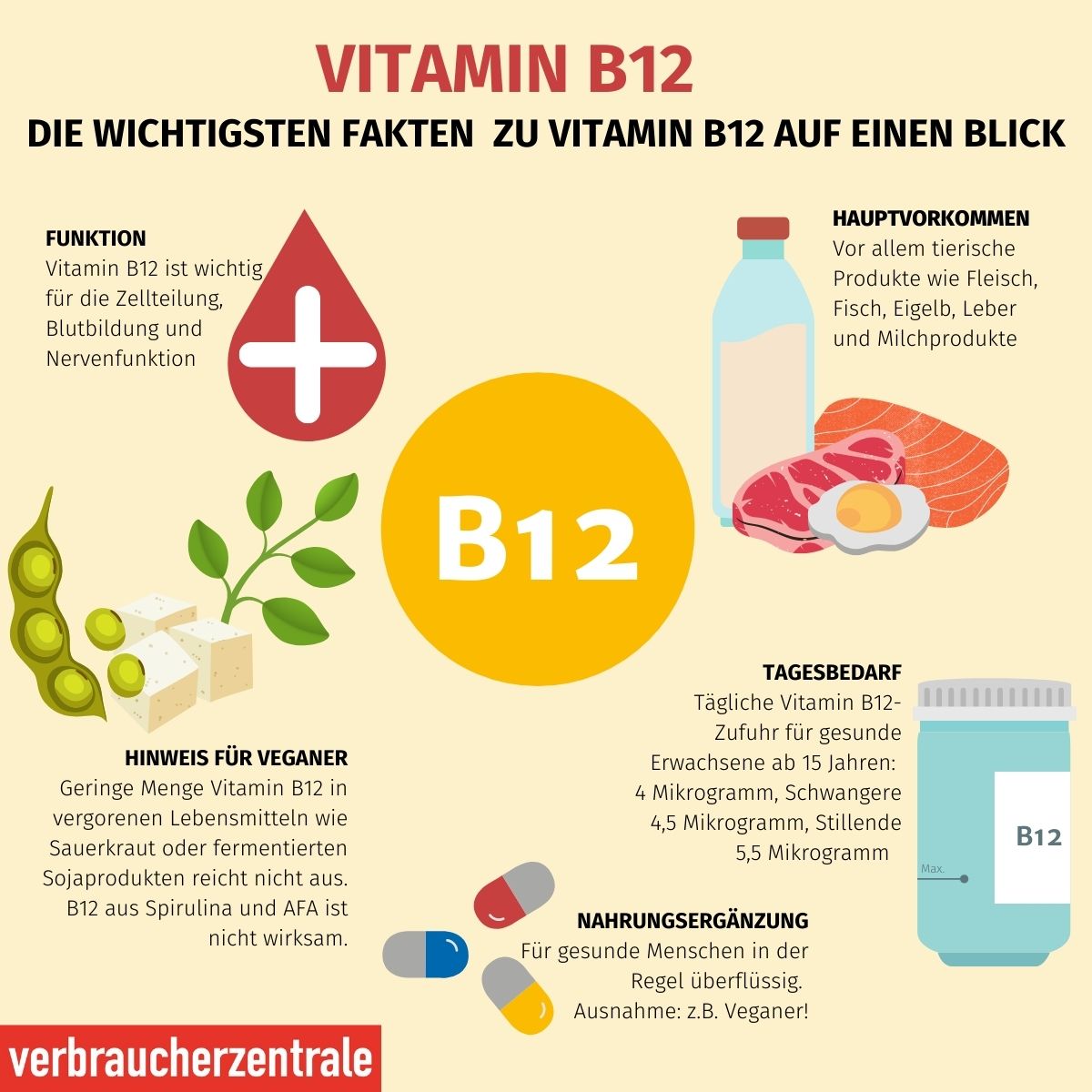 Vitamin B12 - die wichtigsten Fakten auf einen Blick