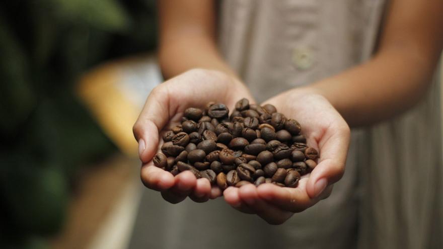 Hand gefüllt mit Kaffeebohnen.