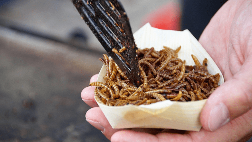 Insekten als Snack in Schale
