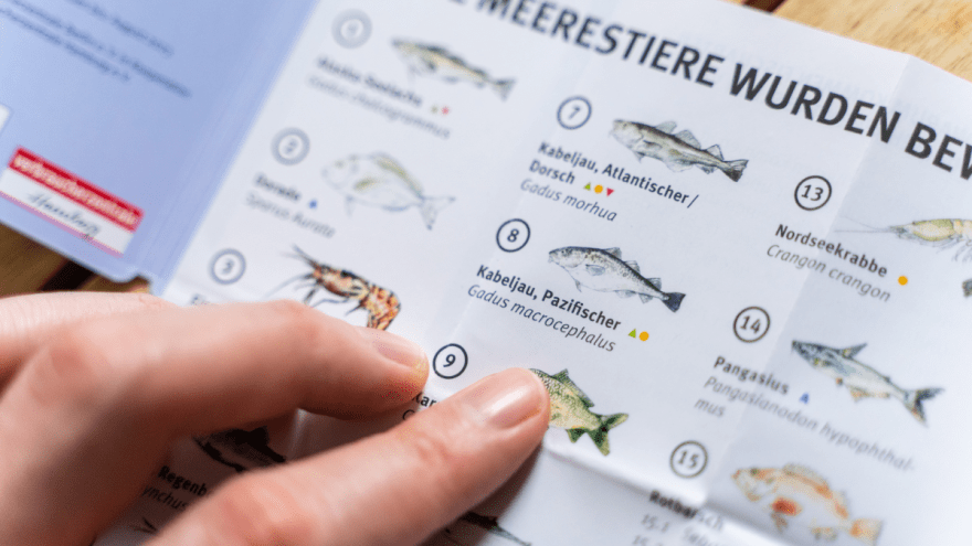 Finger zeigt auf den Eintrag zum pazifischen Kabeljau im Fischratgeber